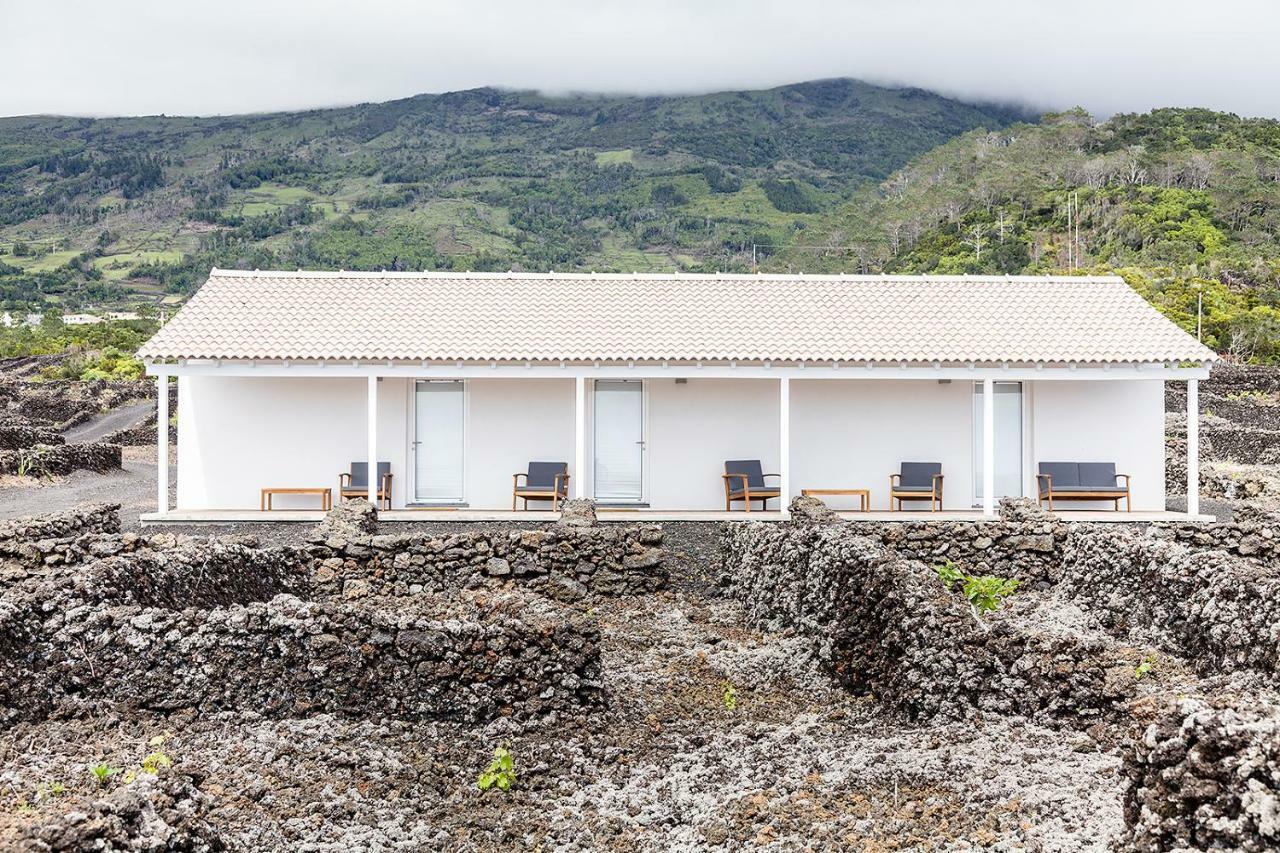 Insula Vinus Apartments マダレナ エクステリア 写真